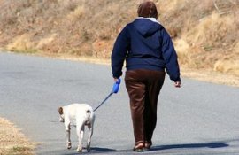 A dog walking solution is a simple to begin company.