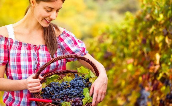 Fun business to start