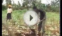 BEST AGRICALTURE VIDEO U MUST WATCH..A IDEA FOR BUSINESS