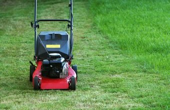you could start your business with resources you currently own, including a lawnmower.